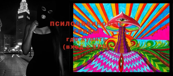 ECSTASY Коряжма