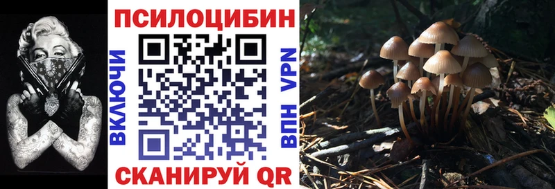 Галлюциногенные грибы Psilocybine cubensis  что такое наркотик  Владимир 