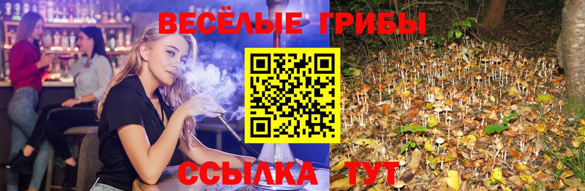 Галлюциногенные грибы ЛСД Владимир