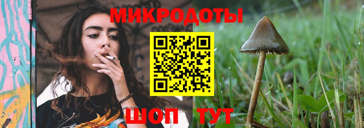 Псилоцибиновые грибы Cubensis  Псилоцибиновые грибы мицелий  Владимир  Вход с VPN 
